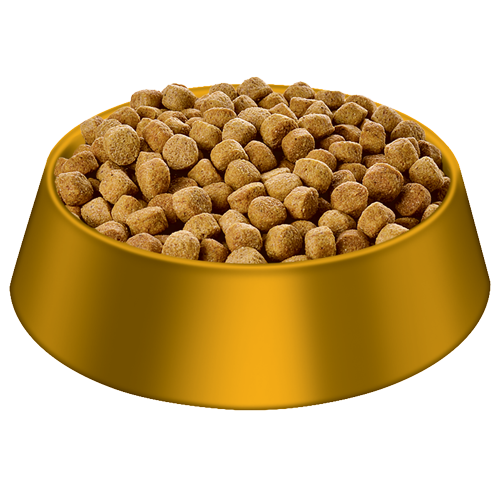 Dog Food Golden Bowl Transparent PNG