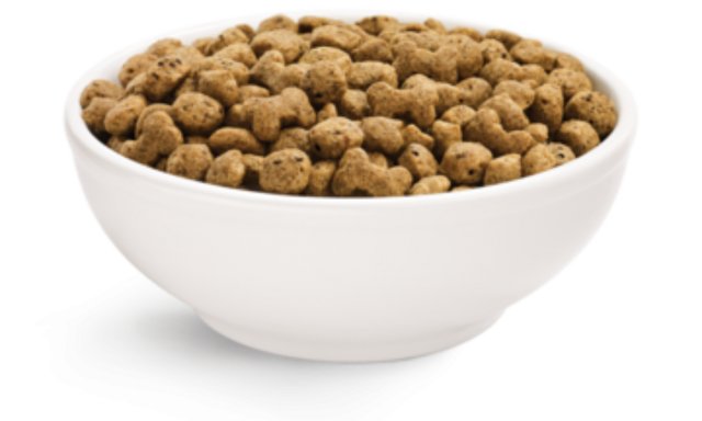 Dog Food White Bowl Transparent PNG