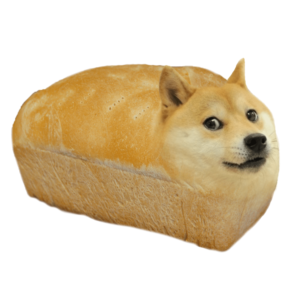 Doge Head Face PNG HD Quality