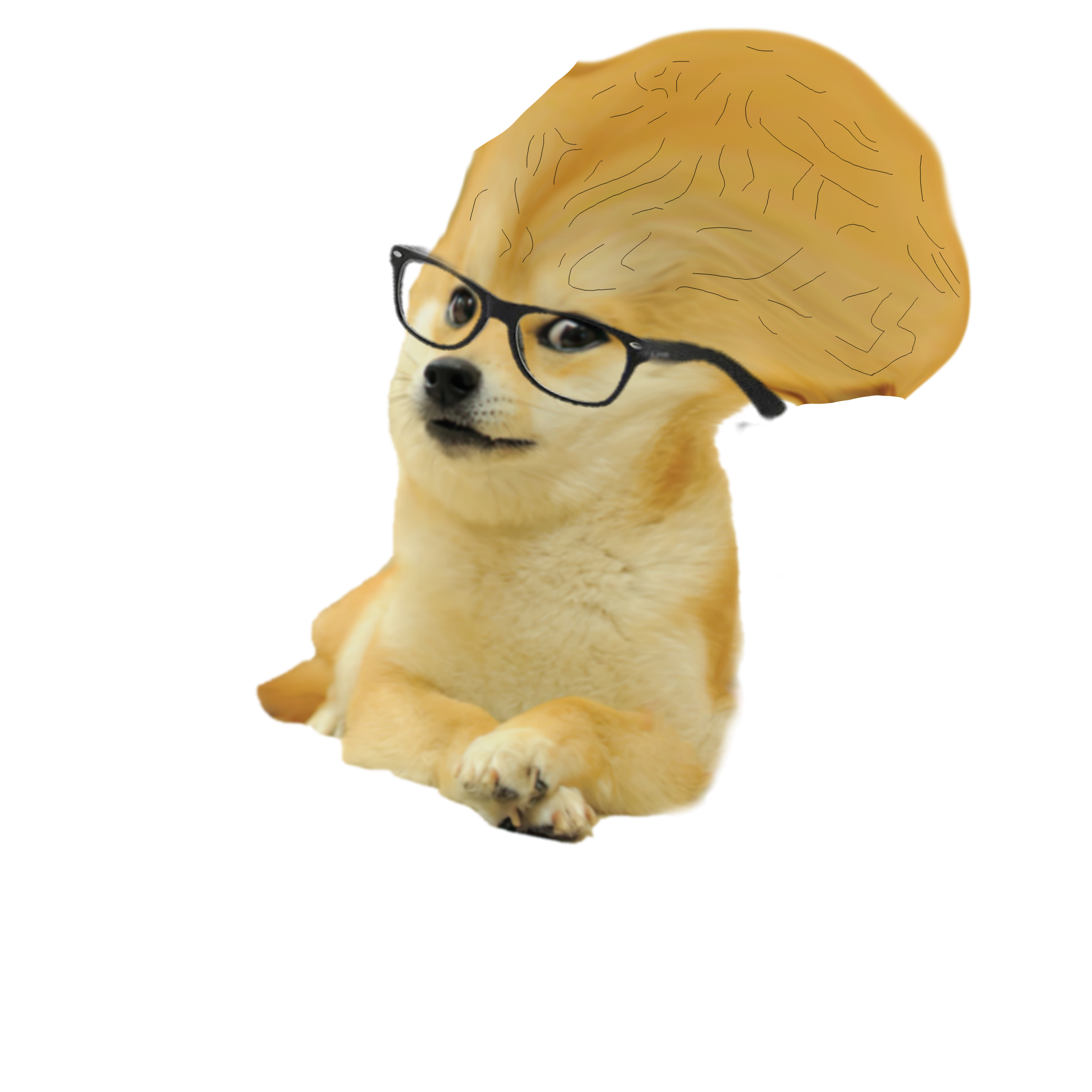 Doge Head Meme Background PNG Image