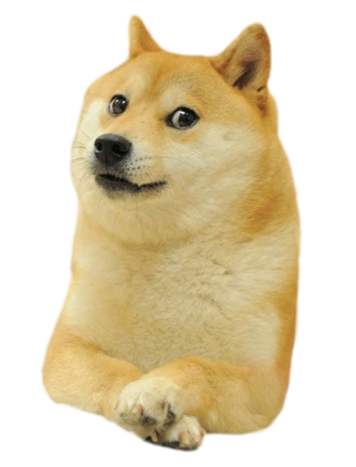 Doge Head Meme Transparent Background