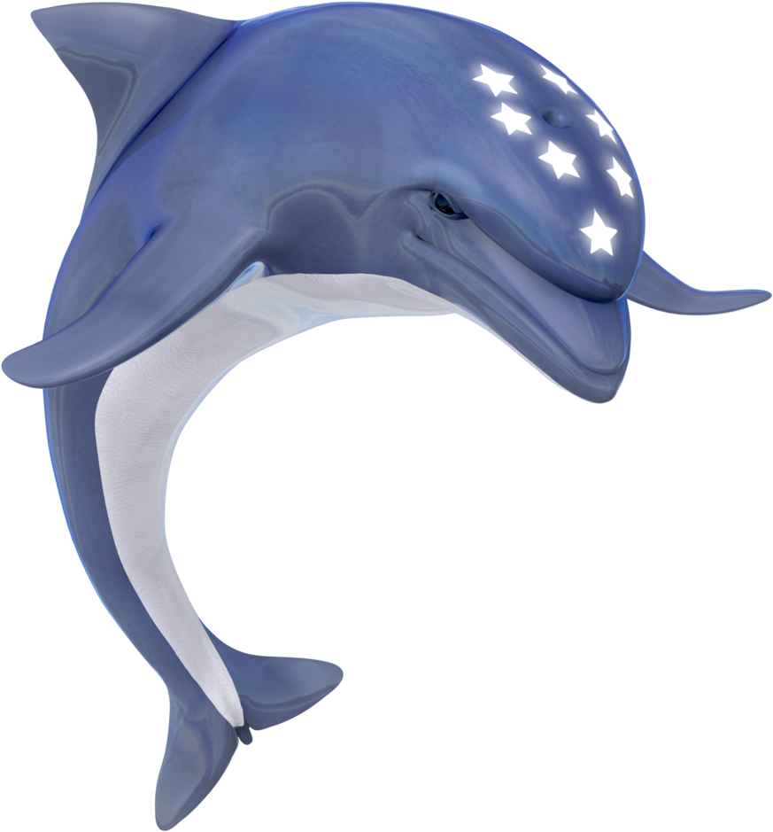 Dolphin Clipart Transparent PNG