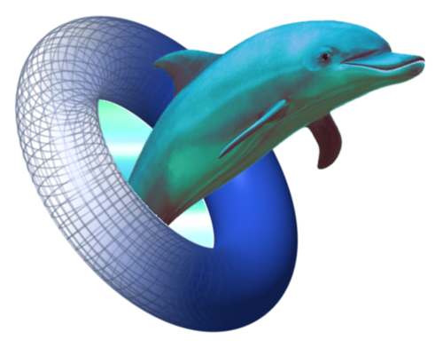 Dolphin Moving Transparent PNG