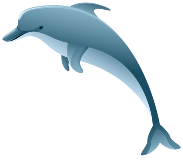 Dolphin Swimming Clipart Transparent PNG