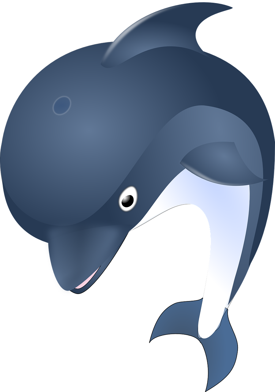 Dolphin Vector Transparent PNG