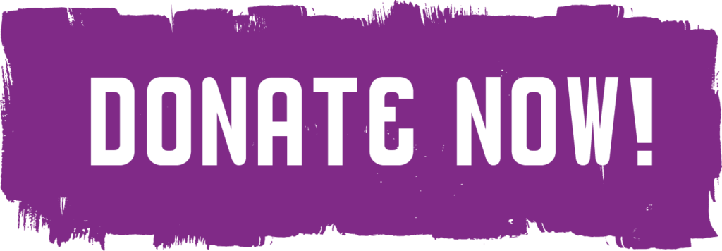 Donate Now Transparent PNG