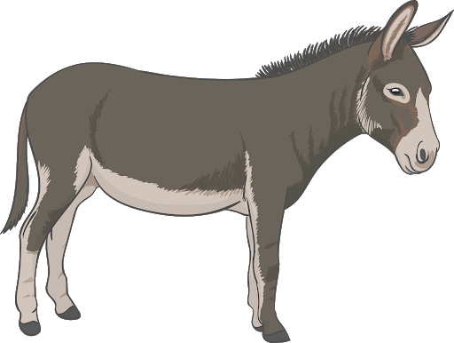Donkey Cartoon Transparent PNG | PNG Play