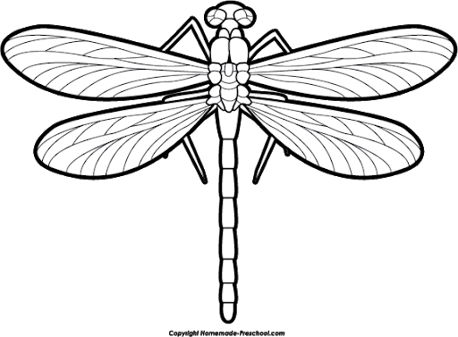 Dragonfly Tattoos Transparent PNG