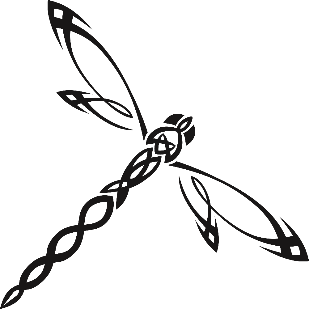 Dragonfly Vector PNG HD Quality