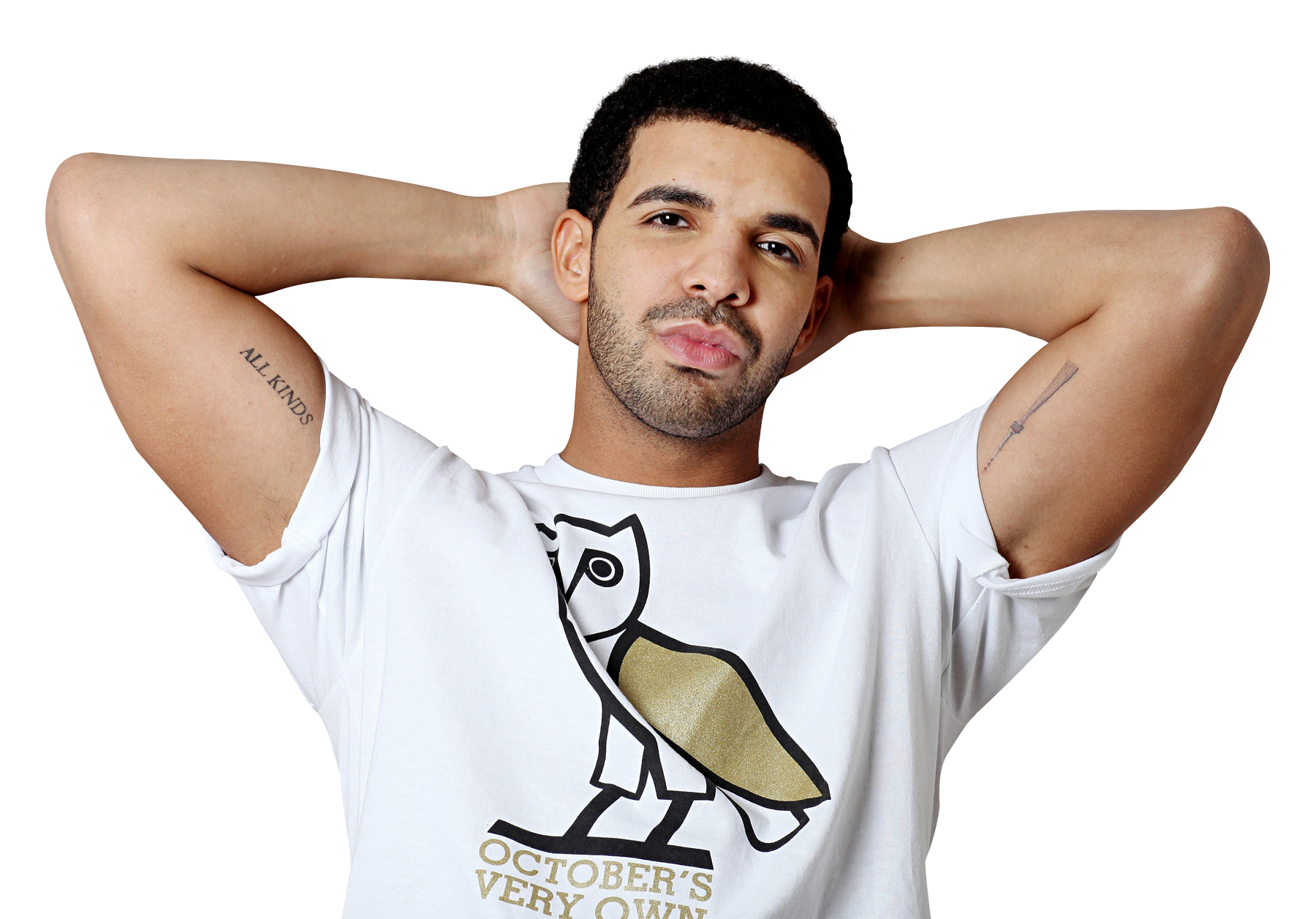 Drake Pose PNG HD Quality