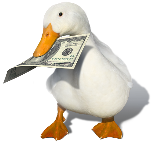Duck Cash Transparent PNG