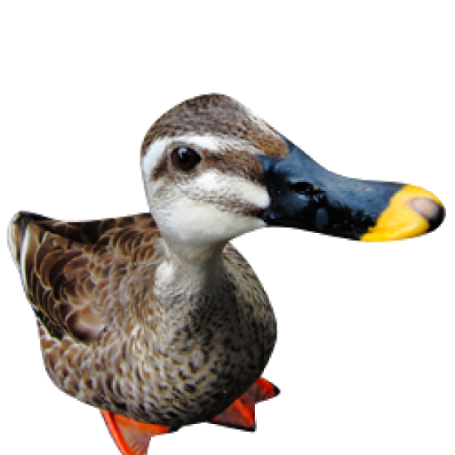Duck Face Transparent PNG