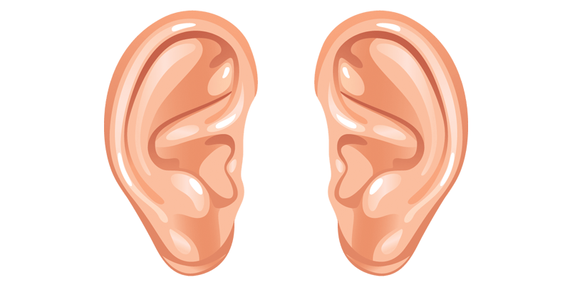 Ear Icon PNG HD Quality