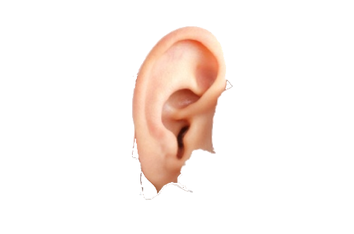 Ear Logo PNG HD Quality