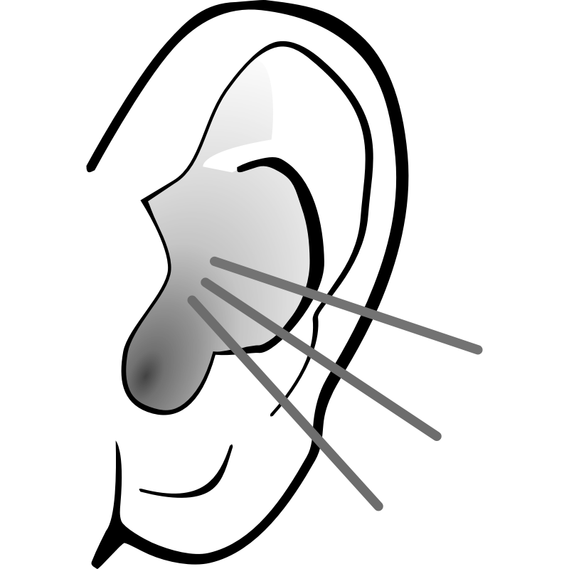 Ear PNG HD Quality