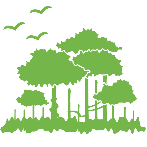 Environment Vector PNG HD Quality
