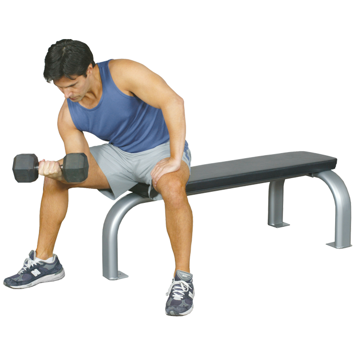 Exercise Bench Vector PNG HD Quality