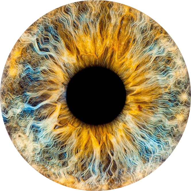 Eye Lens Brown Transparent Background