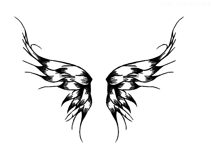 Fairy Tattoos Wings PNG HD Quality