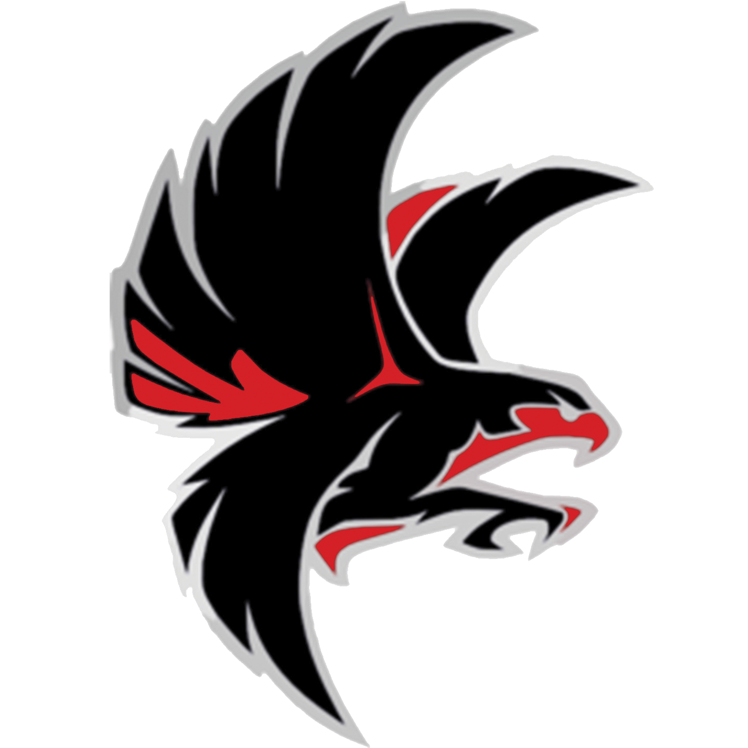 Falcon Vector PNG HD Quality