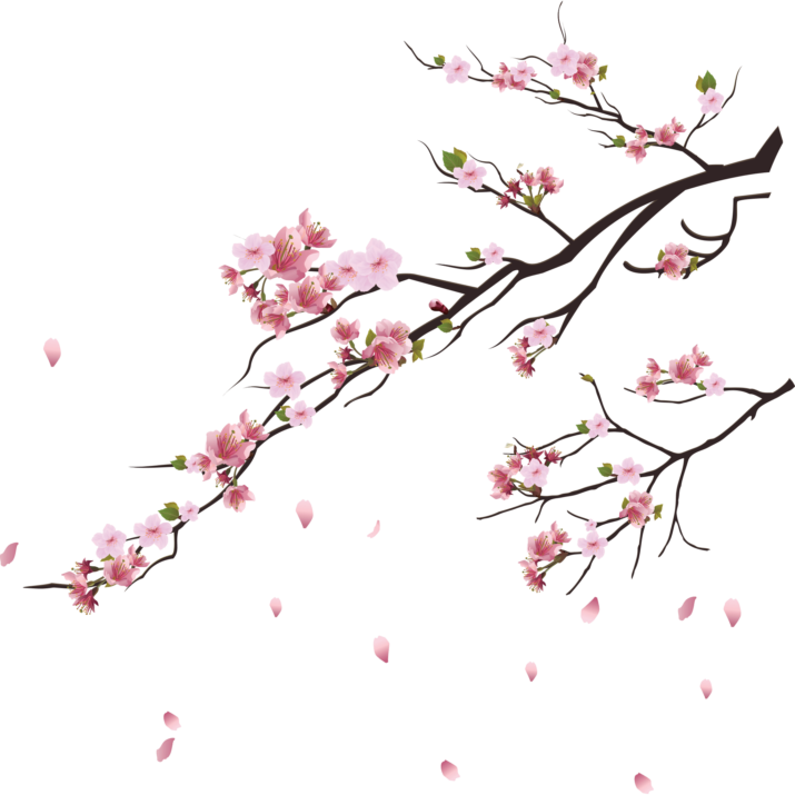 Falling Flower Petals PNG Clipart Background