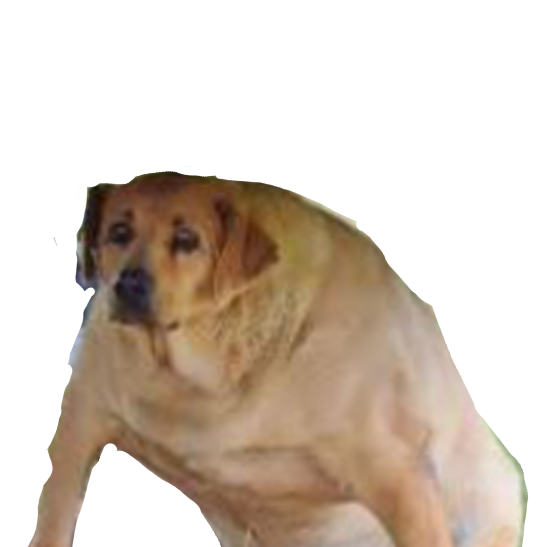 Fat Dog Transparent PNG