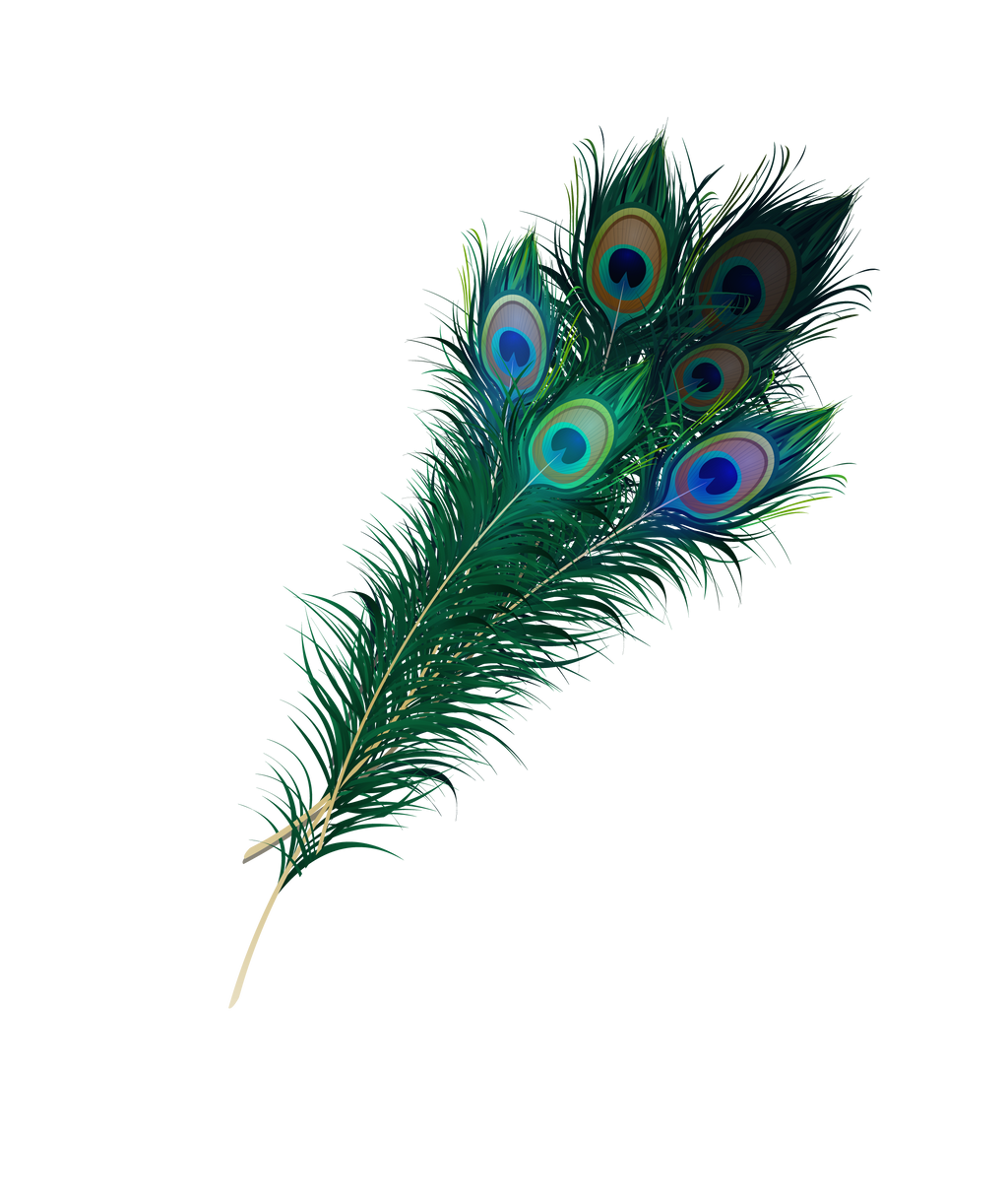 Feather Background PNG Image