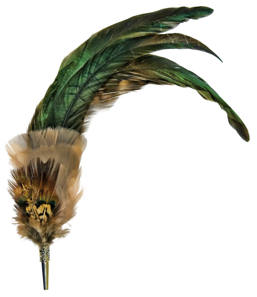 Feather PNG HD Quality