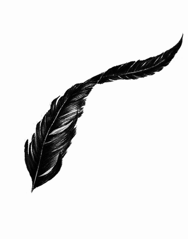 Feather Silhouette PNG HD Quality