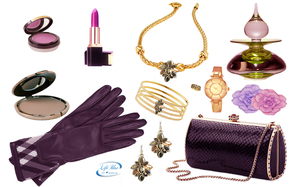 Female Fashion Accessories Background PNG Image