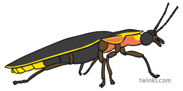 Firefly Cartoon Background PNG Image