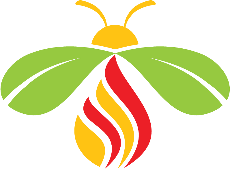 Firefly Logo PNG HD Quality
