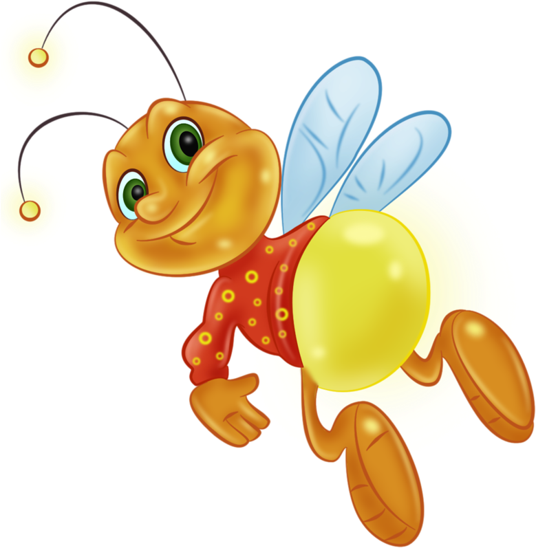 Firefly Transparent Background
