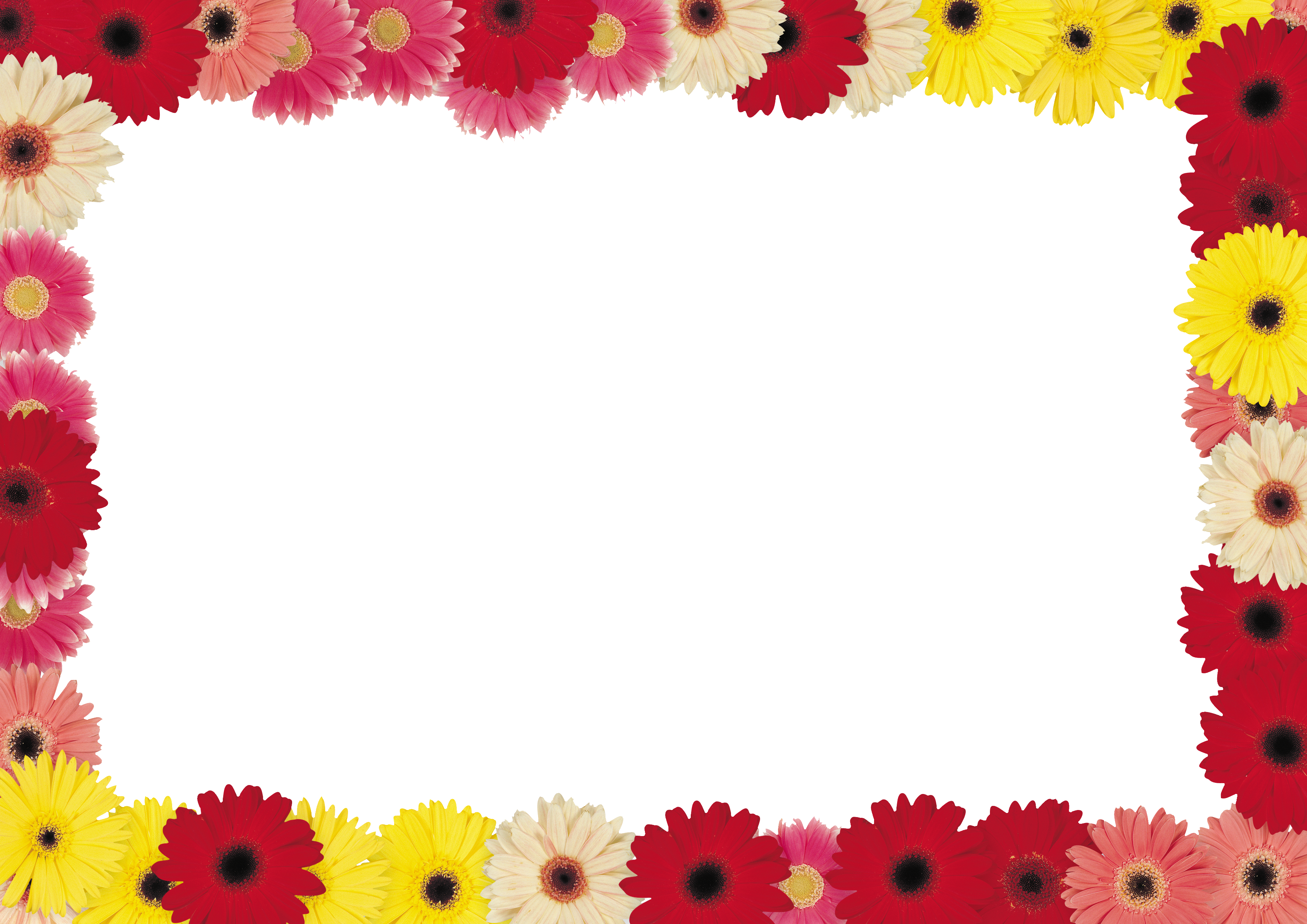 Floral Flower Frame PNG Clipart Background