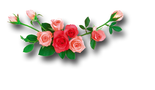 Floral Flowers Download Free PNG