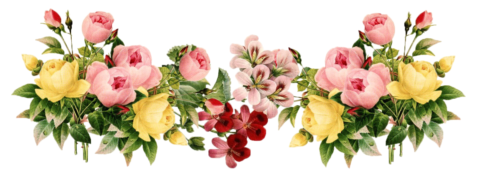 Floral Flowers Transparent File