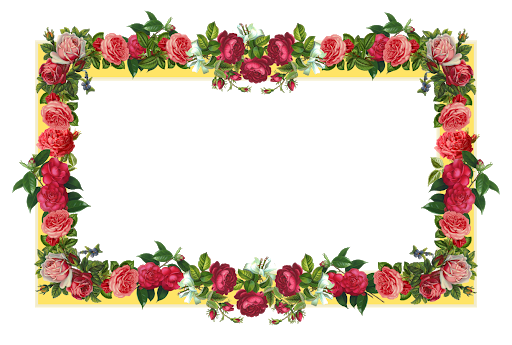 Flower Flower Frame Design Transparent Background