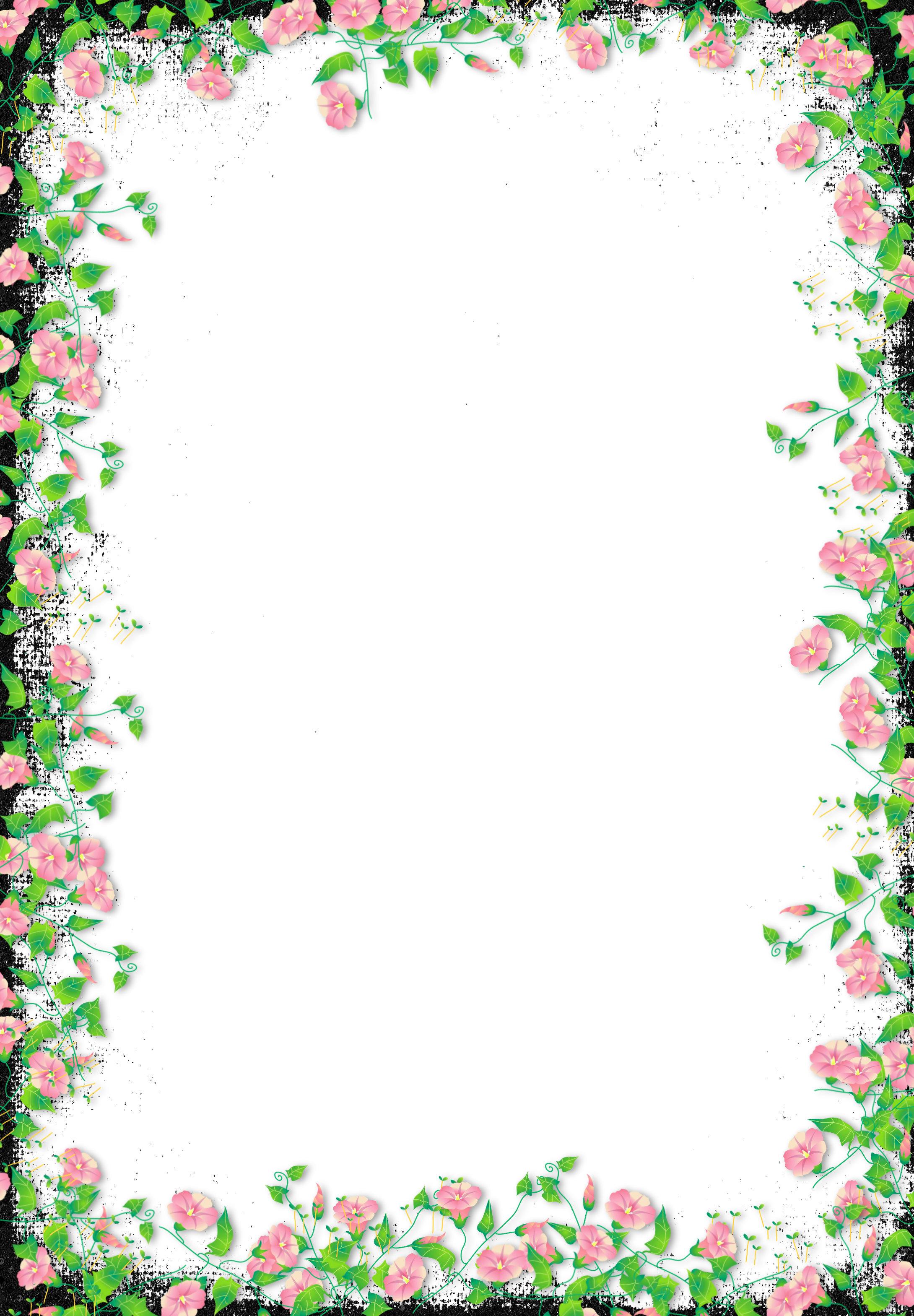 Flower Frame Border PNG HD Quality