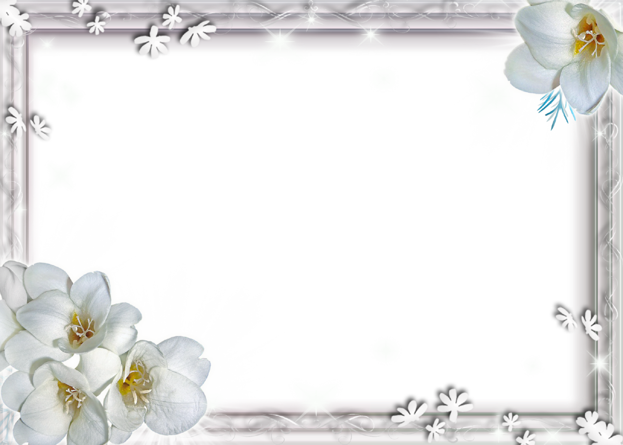 Flower Frame Border Transparent File