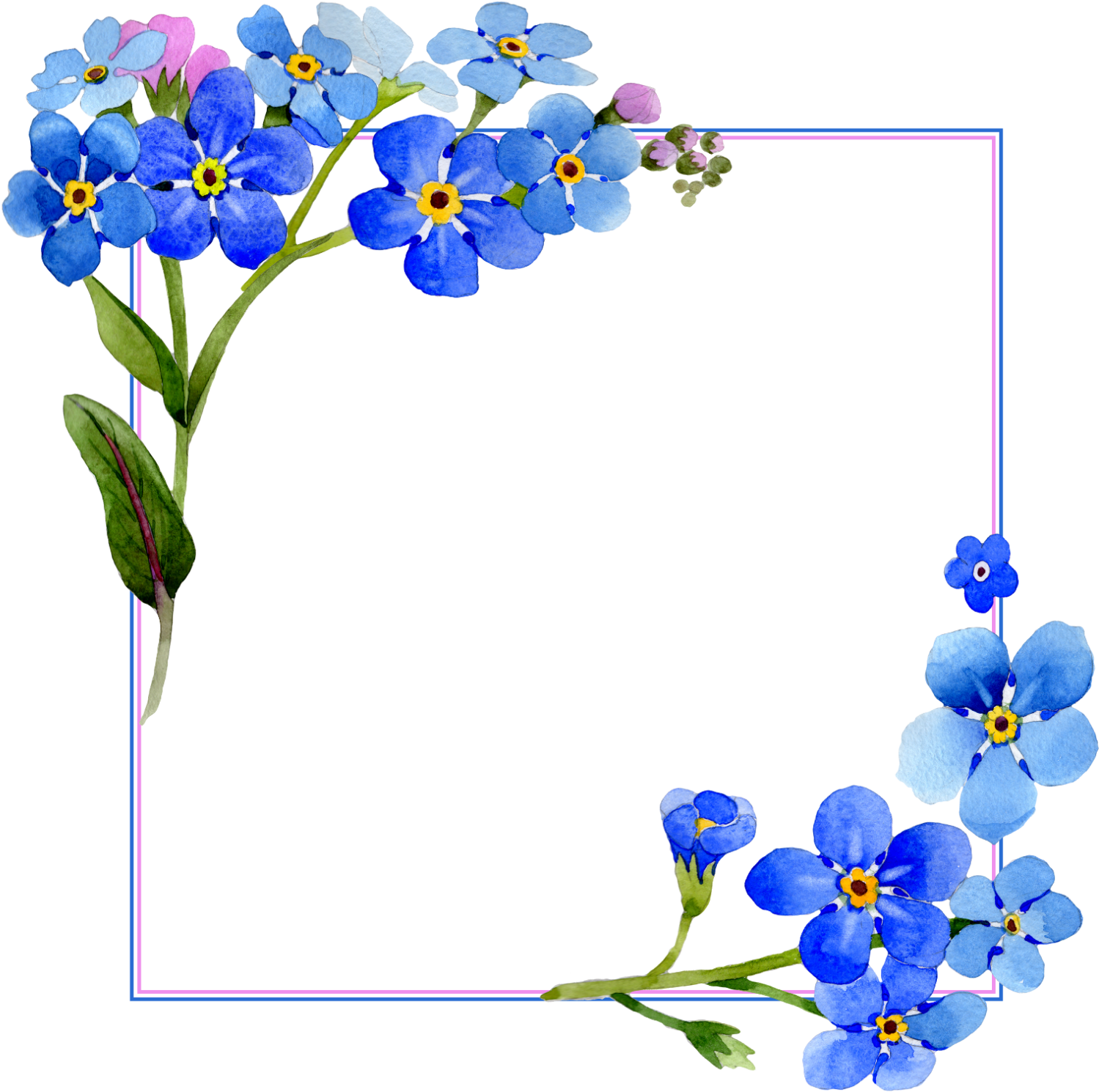 Flower Frame Design PNG Clipart Background
