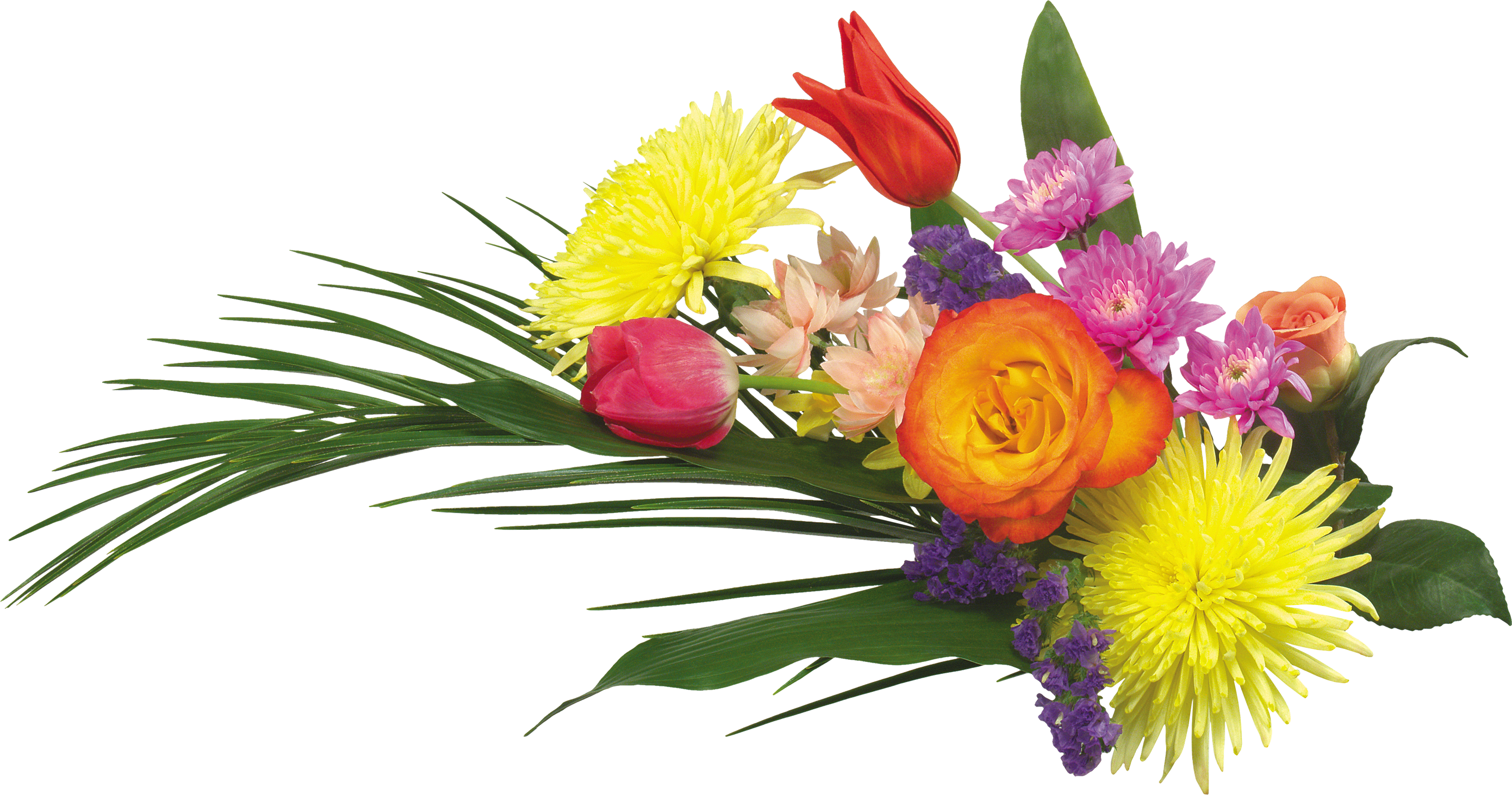 Flowers PNG HD Quality