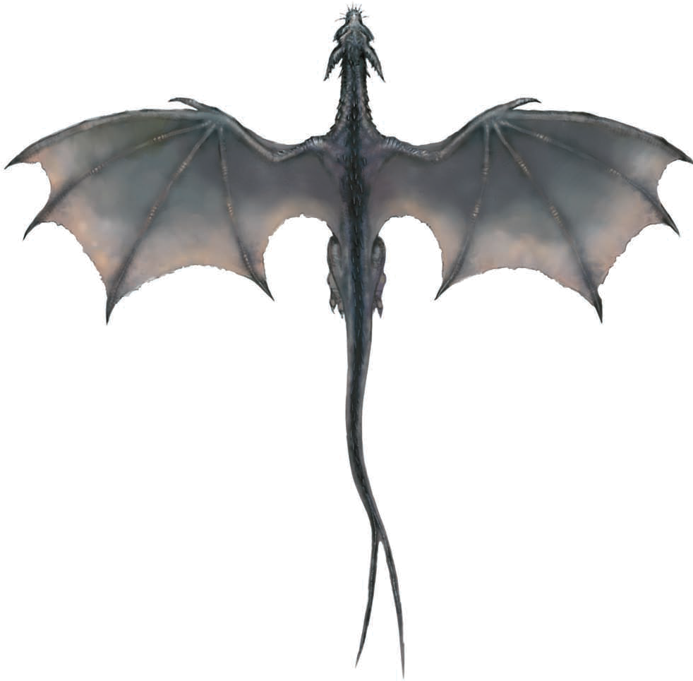 Dragon Tattoo Stock Illustration  Download Image Now  Dragon Flying  Animal Wing  iStock