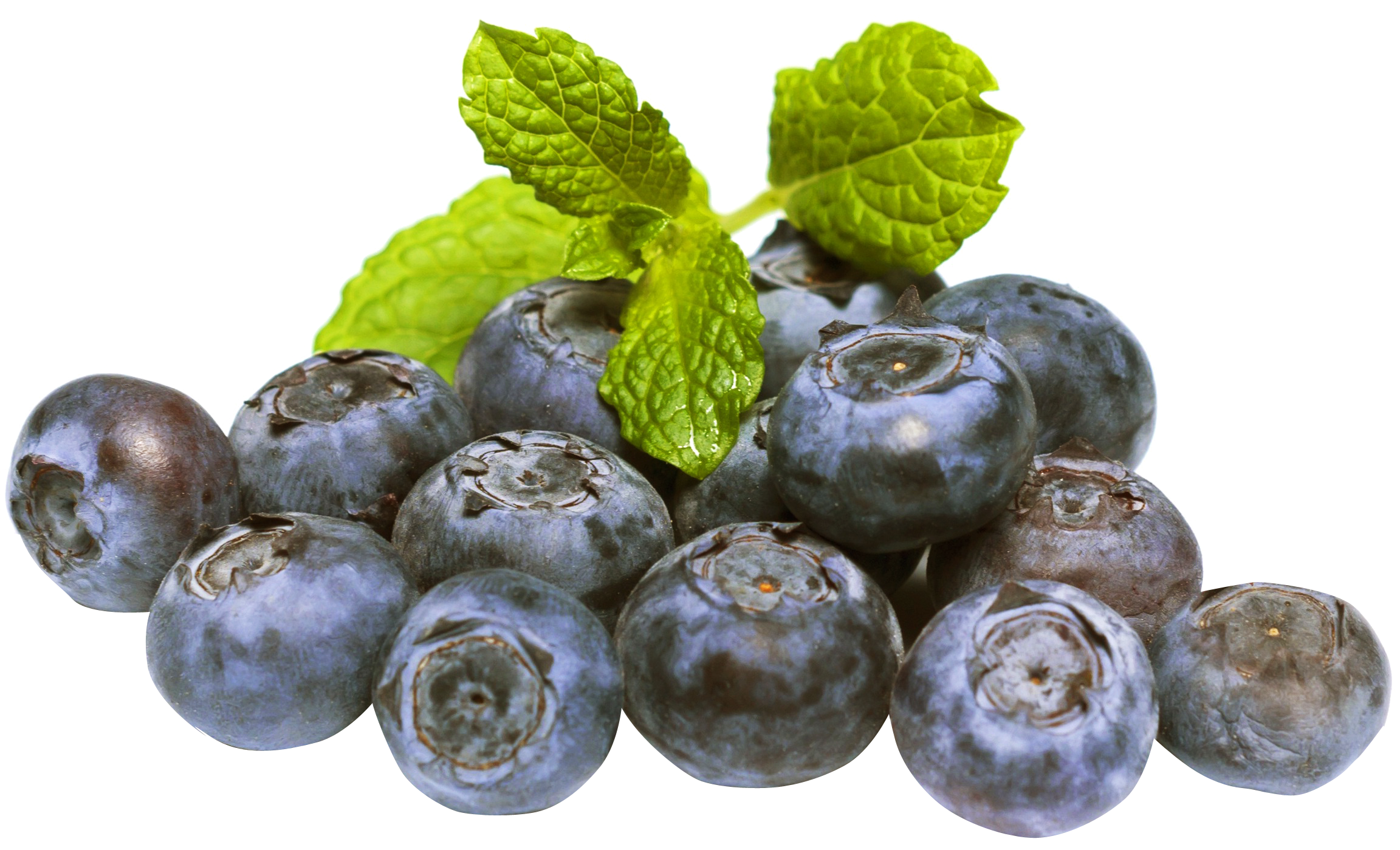 Fresh Blueberry PNG Clipart Background