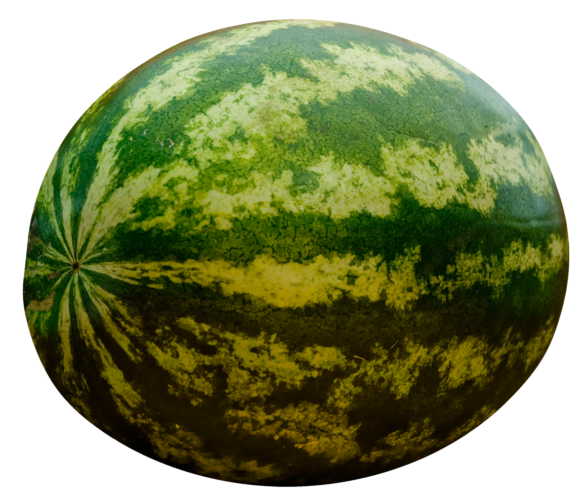 Full Big Watermelon PNG