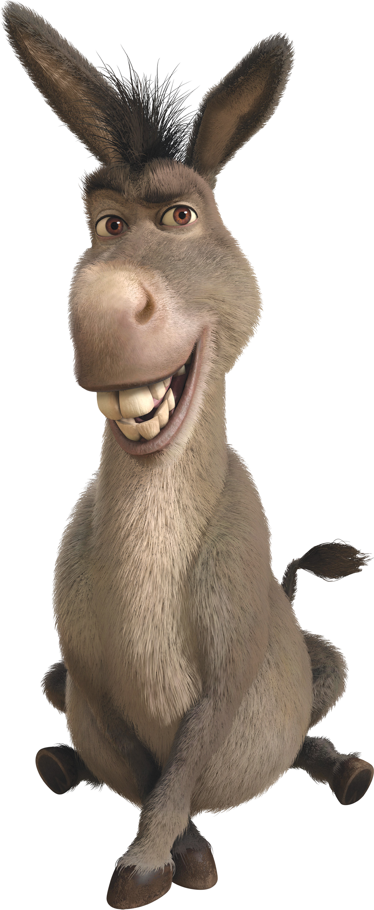 Funny Donkey Transparent PNG