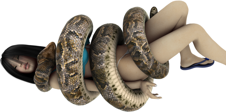 Giant Anaconda Transparent PNG