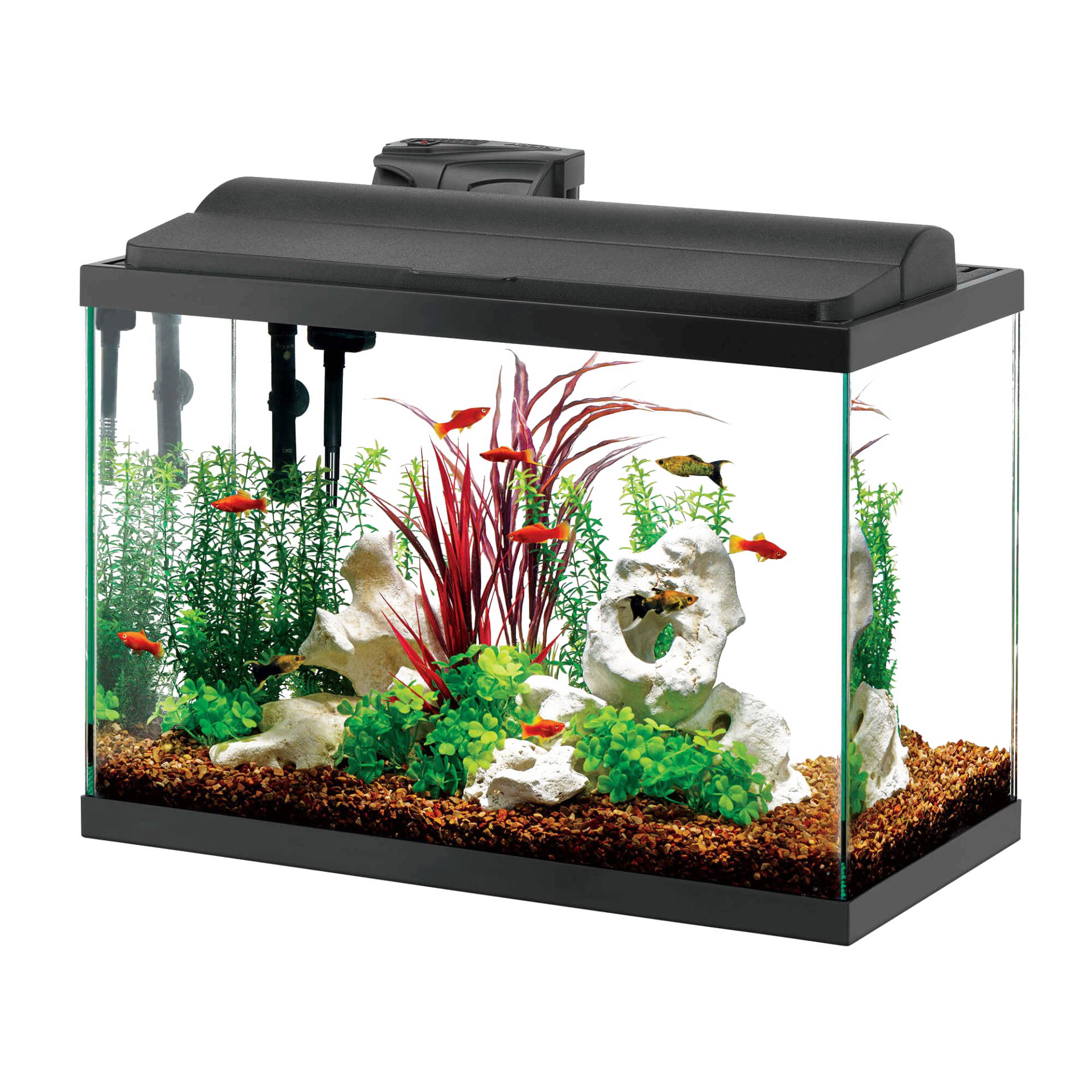 Glass Aquarium Fish Tank Transparent Image