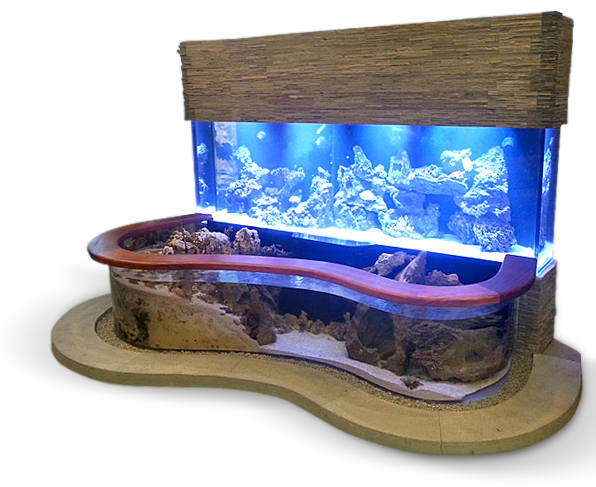 Glas aquarium ask tank transparente Bilder