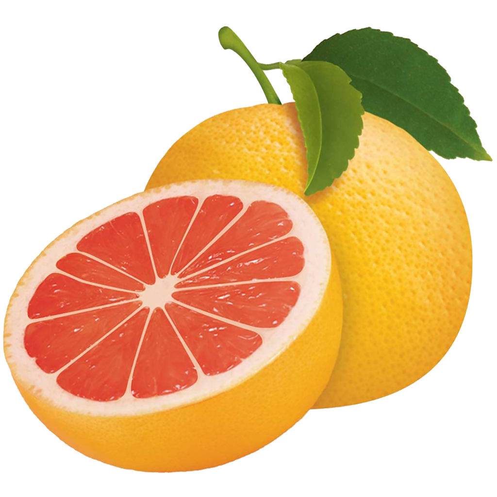 Grapefruit Clipart PNG