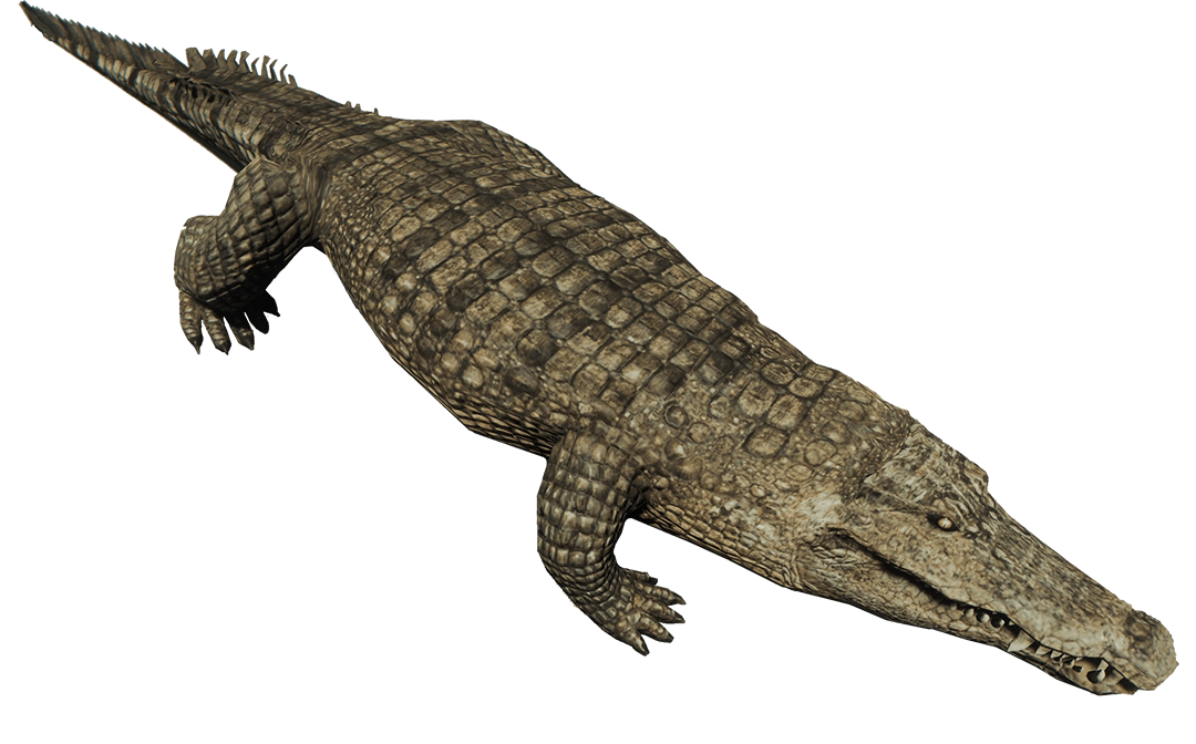 Gray Crocodile Transparent PNG